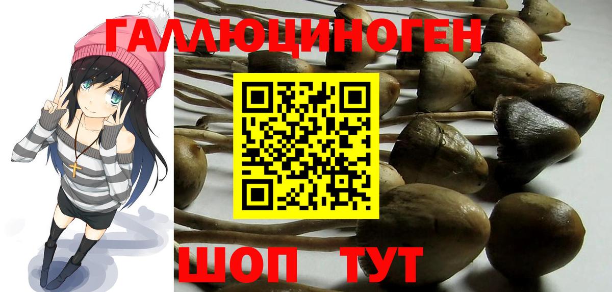 Галлюциногенные грибы MAGIC MUSHROOMS  Псилоцибиновые грибы прущие грибы  Вход с VPN  Клинцы 